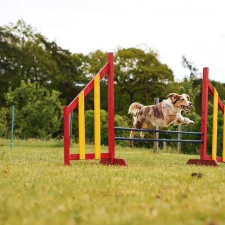Vakantiehuis Hof Koehne - Haus Am Berg 3er