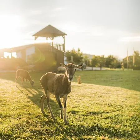Hof Koehne - Haus Am Berg 3er * Schmallenberg