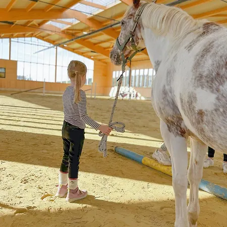 Hof Koehne - Haus Am Berg 3er *