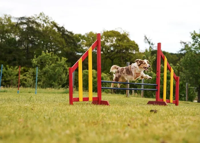 Сasa de vacaciones Hof Koehne - Haus Am Berg 3er