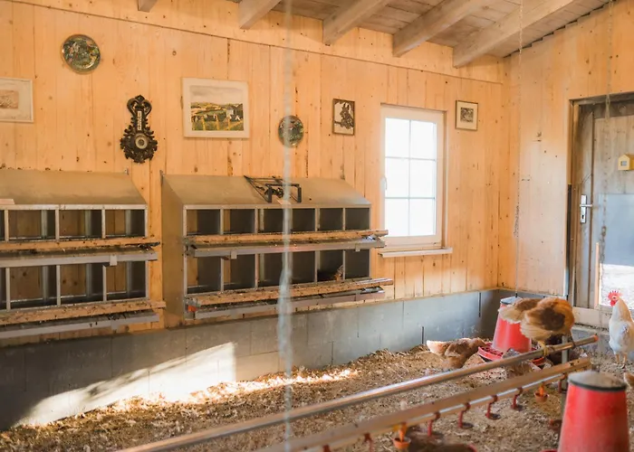 Hof Koehne - Haus Am Berg 3er