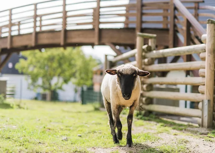 Hof Koehne - Haus Am Berg 3er * Schmallenberg