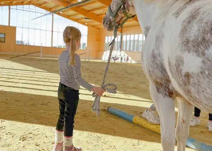 Hof Koehne - Haus Am Berg 3er *